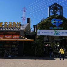 お土産売り場