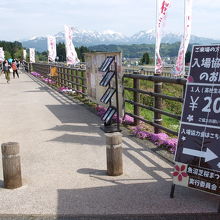 イベント会場には駐車場もあり協力費を払い公園に向かいます。