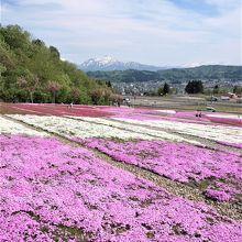 会場に入ると残雪も残る魚沼の山々も見え、関越道のInterも