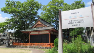 参拝もいいのですが、川氾濫の浸水位には驚いたわぁー