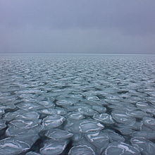 ガリンコ号のデッキから見た一面氷の海