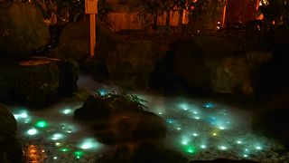 夏の期間限定のイベント「縁結び風鈴」