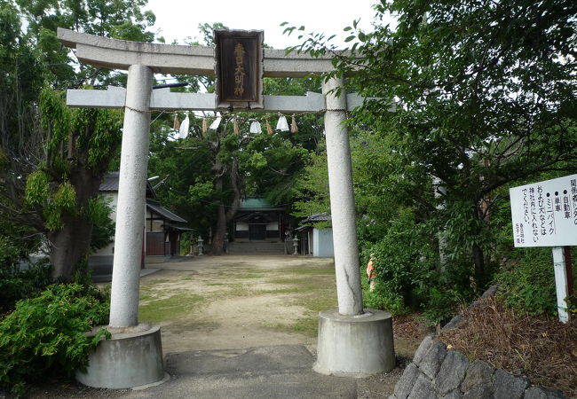 淀川沿いの堤防近くにある神社