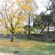 児童遊具と台場の遺構の石垣