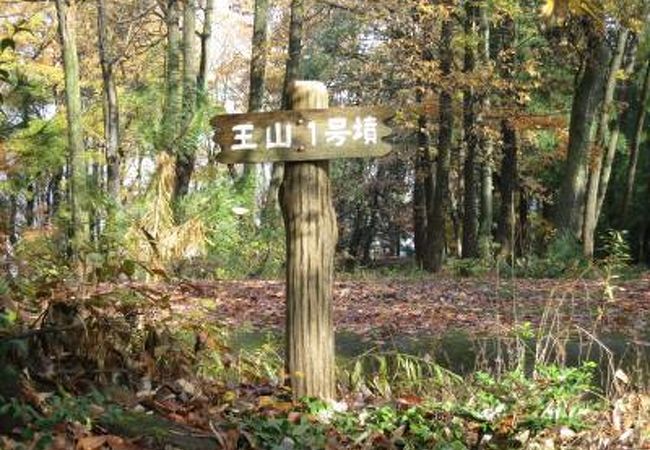 2017年　王山古墳群　鯖江　心の安らぎ旅行♪