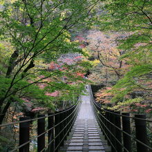 紅葉していたら絶景