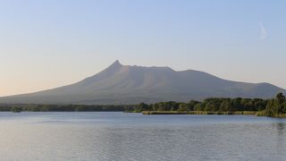 道路脇の小沼越しからが一番よく見えました