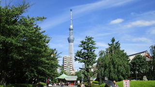 ライトアップされた境内は見どころがあリます