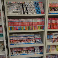 マンガもあるのがいいですね☆