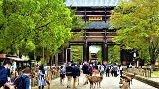 世界遺産・古都奈良の文化財も`鹿`は貢献してますね♪