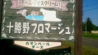 チーズにジェラートが最高