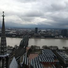 ケルンの街並みとライン川