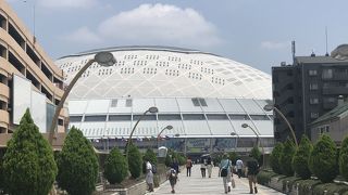 野球観戦しました！