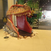 ロビーにある恐竜の頭