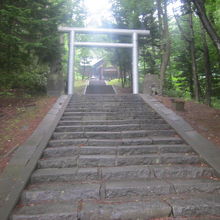 参道の石段の様子