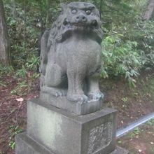 本殿向かって左側の狛犬さんの様子