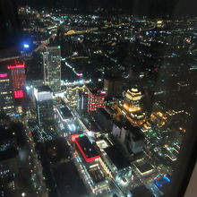 展望台からの夜景