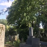 夏目漱石のお墓