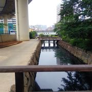 水辺の遊歩道を中心とした細長い公園