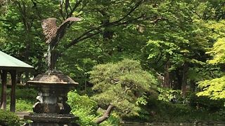 景色がとてもきれいで癒されました。