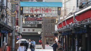 瓦屋根で統一され江戸下町の雰囲気を味わえます。