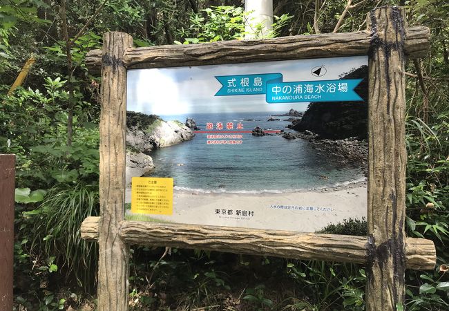 都内でサンゴ礁を見よう！式根島、中の浦海水浴場で