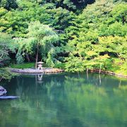 真夏の日本庭園