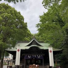 新緑が目に優しい