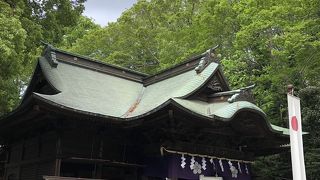 鶏と新緑に癒される