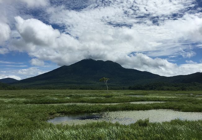 素晴らしい