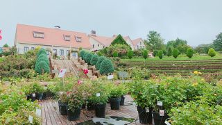 綺麗な公園です