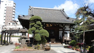 安らぎを感じるお寺