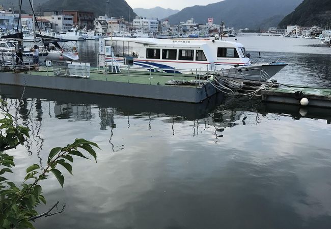 ビックリ！徳島出羽島の連絡船大生丸、下田港でまさかの再会