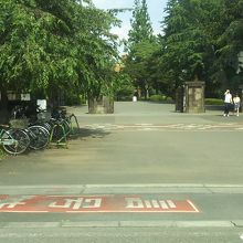 一橋大学