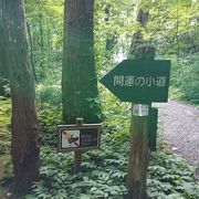 十和田神社参拝後に