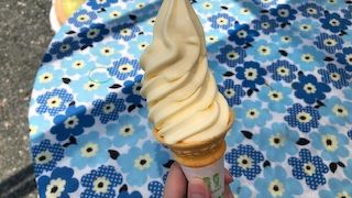 みかんのソフトクリーム