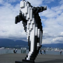 デジタルオルカ 