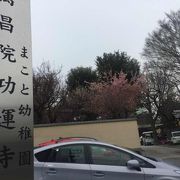 吉良家の菩提寺