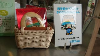 科学館併設のカフェ