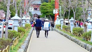 写真を撮るならここが良いと思います