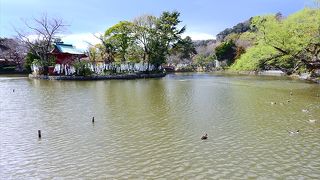 鶴岡八幡宮の憩いの地