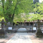 茅葺で吹抜けの大きな建物