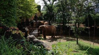 雄大な動物園