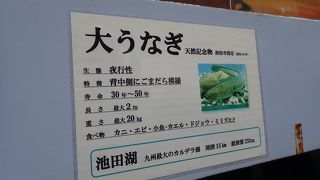 池田湖パラダイスレストラン菜の花