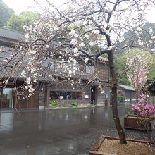 館内の店舗。この先に切子工房があります。写真がなくてごめん。