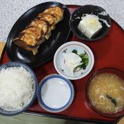 宇都宮餃子は最高に美味でした。
