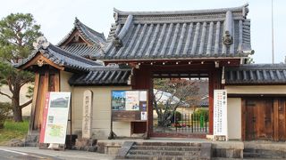 優しい姿の十一面観音像