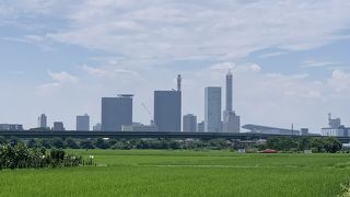 さいたま市内で田園風景を楽しむ。