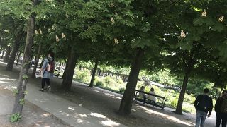 とても大きな公園です