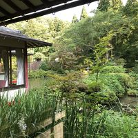 池の上にせり出すお部屋。鯉が寄ってきます